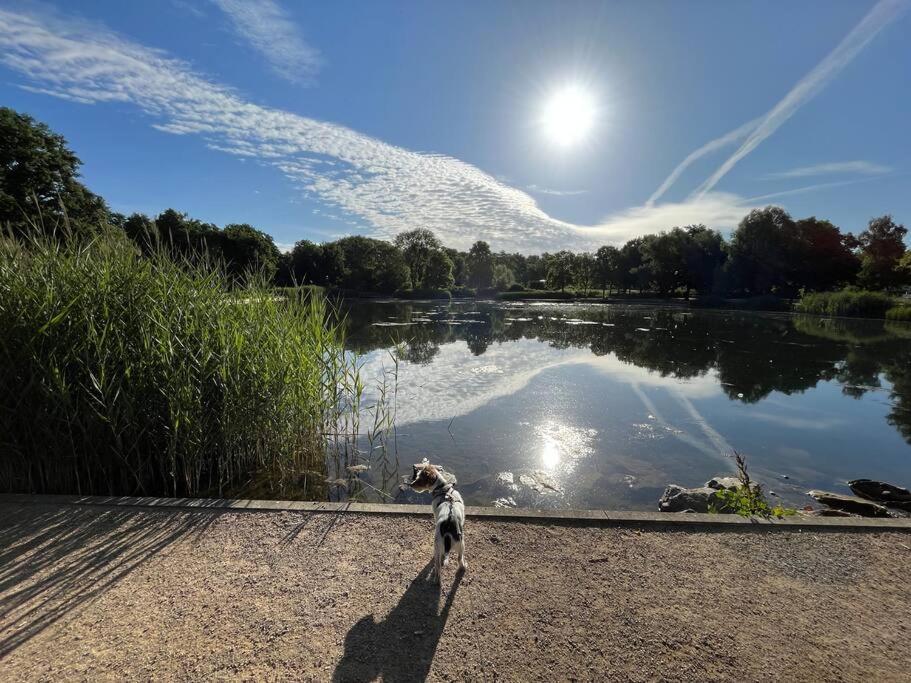 Ferienwohnung Am Glockensee Bad Laer Kültér fotó